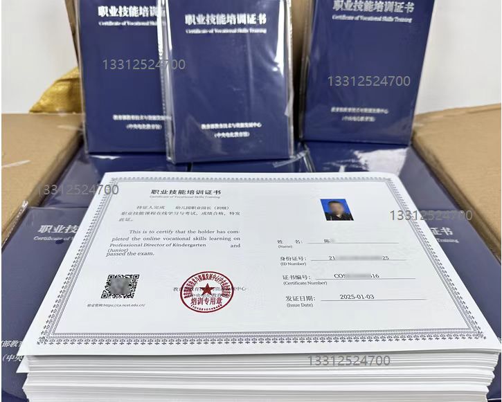 2025年电教馆职业技能培训证书